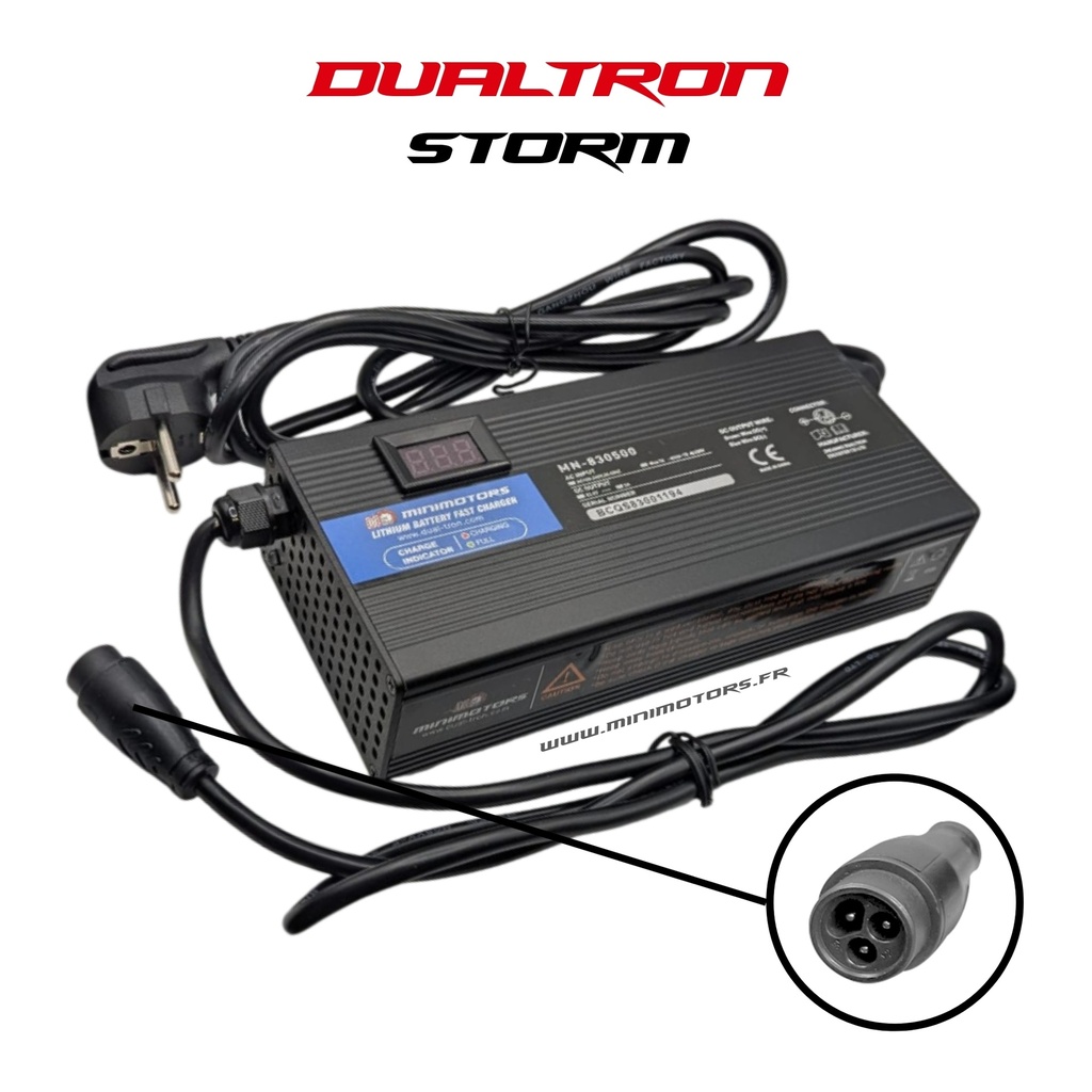 DUALTRON NEW STORM LTD & X LTD | CHARGER 95.4V4A (LP 16)