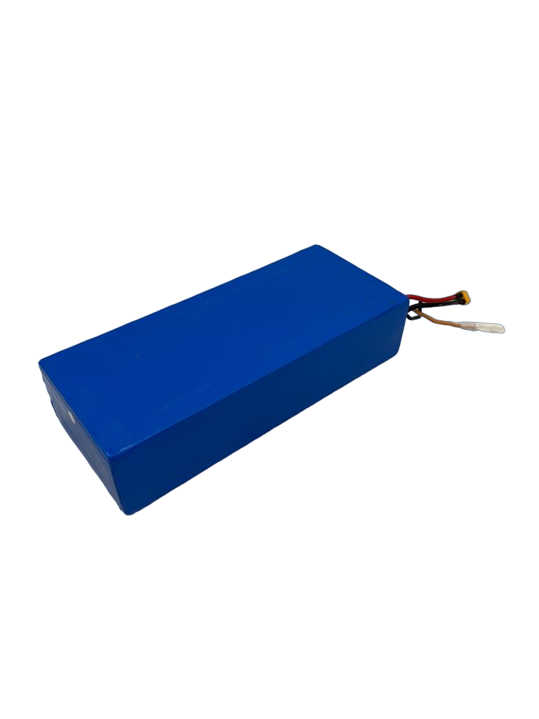 DUALTRON POP OF MOTOR INDIVIDUAL | BATTERY 52 V 14 AH