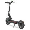 TROTTINETTE ÉLECTRIQUE DUALTRON CITY 60V25AH