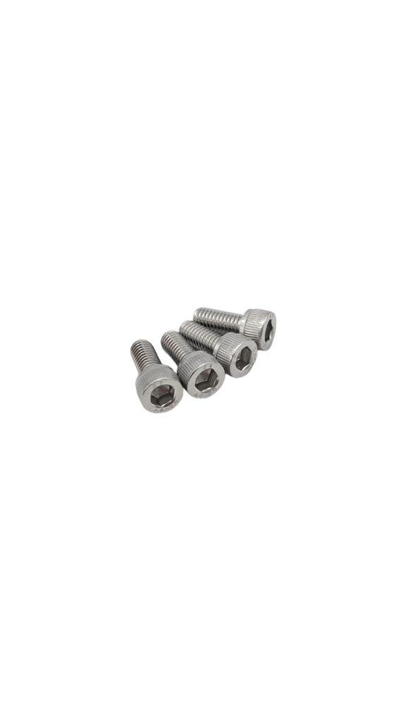 DUALTRON TOGO | HANDLEBAR SUPPORT SCREW (X4) M6*14/SUS304