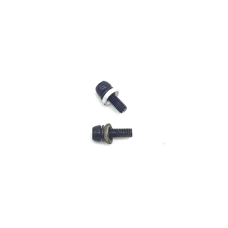 SPW 4 & 5 | SCREW & WASHER CALIPER SUPPORT (X2)