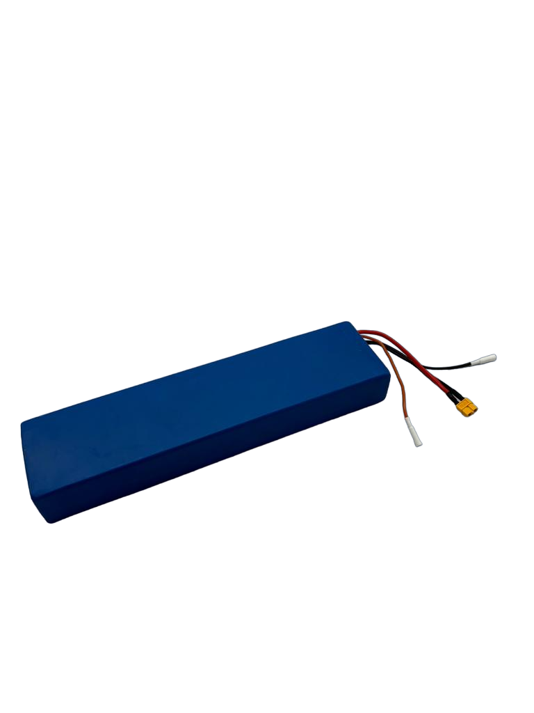 DUALTRON TOGO | 36V 12AH BATTERY