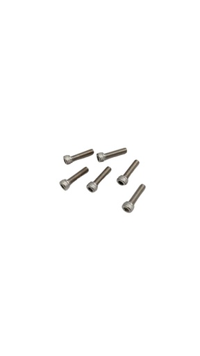 [DLT00552] DUALTRON MINI | RIM SCREW (X6)